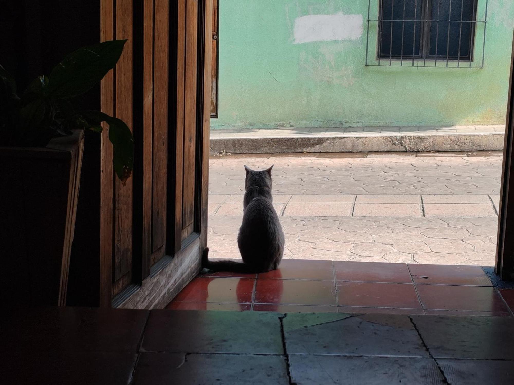 Auberge de jeunesse Casa Satoshi à San Cristóbal de Las Casas Extérieur photo